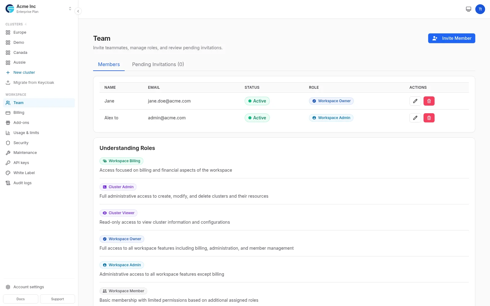Team Management Interface